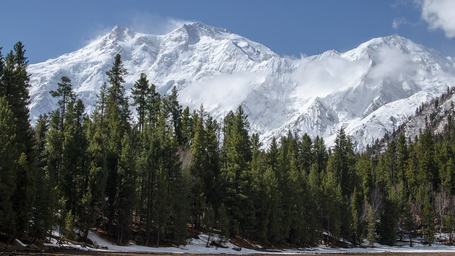Fairy Meadows scenery with Lexuz Tours